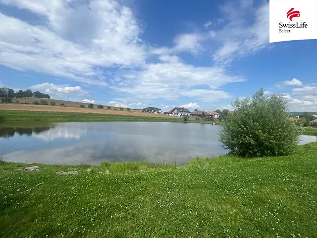 Fotka 7 z 8